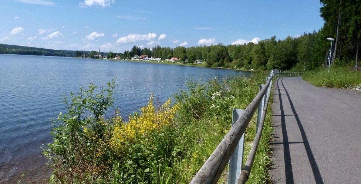 Holiday House Lipno-Slupecna Lipno nad Vltavou Bagian luar foto