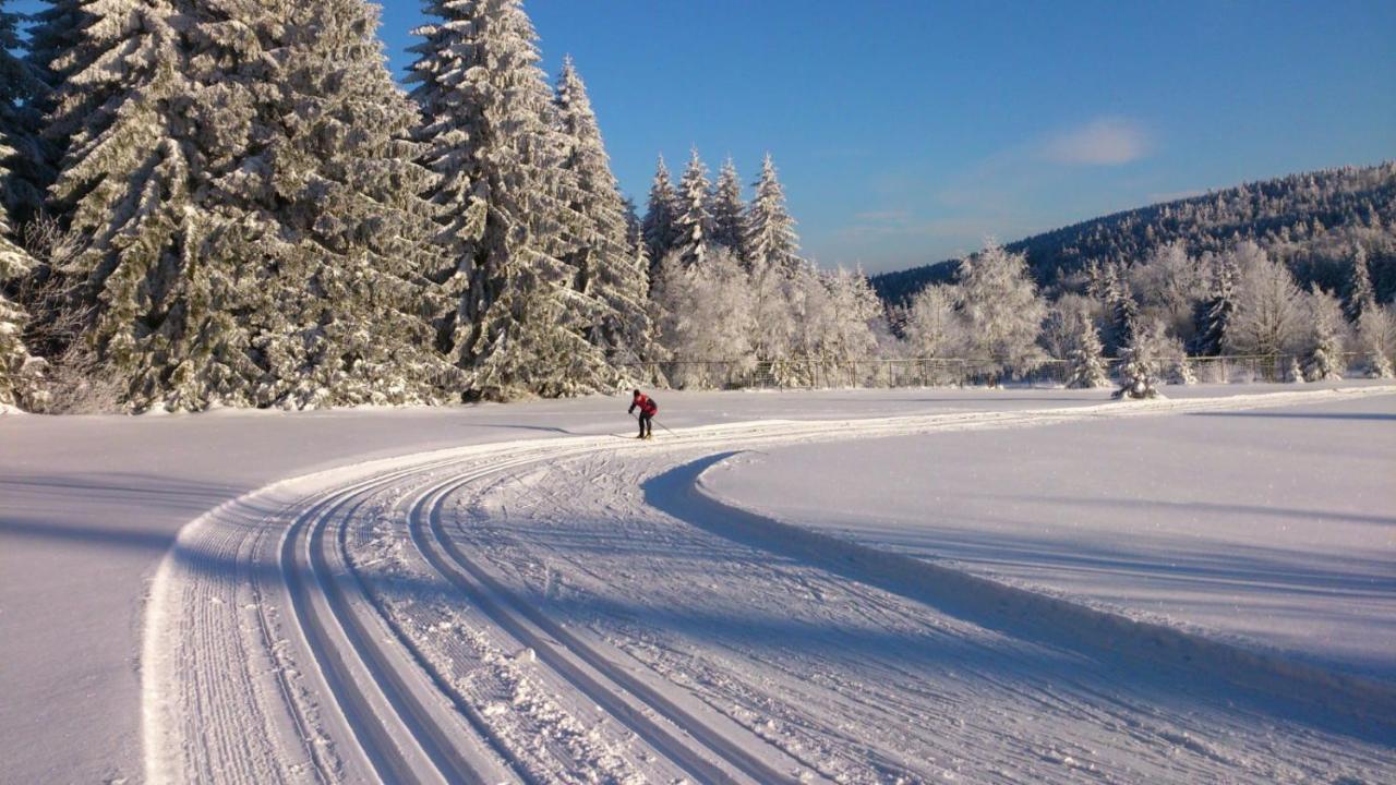 Holiday House Lipno-Slupecna Lipno nad Vltavou Bagian luar foto